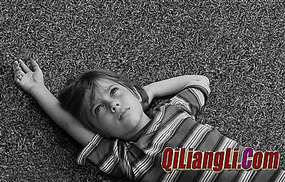 ���������̬����̳