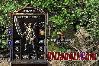 ��Ӣ����