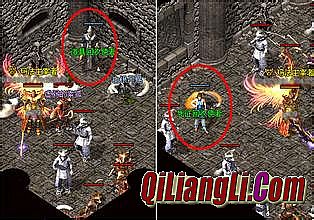 ��ѷ��������